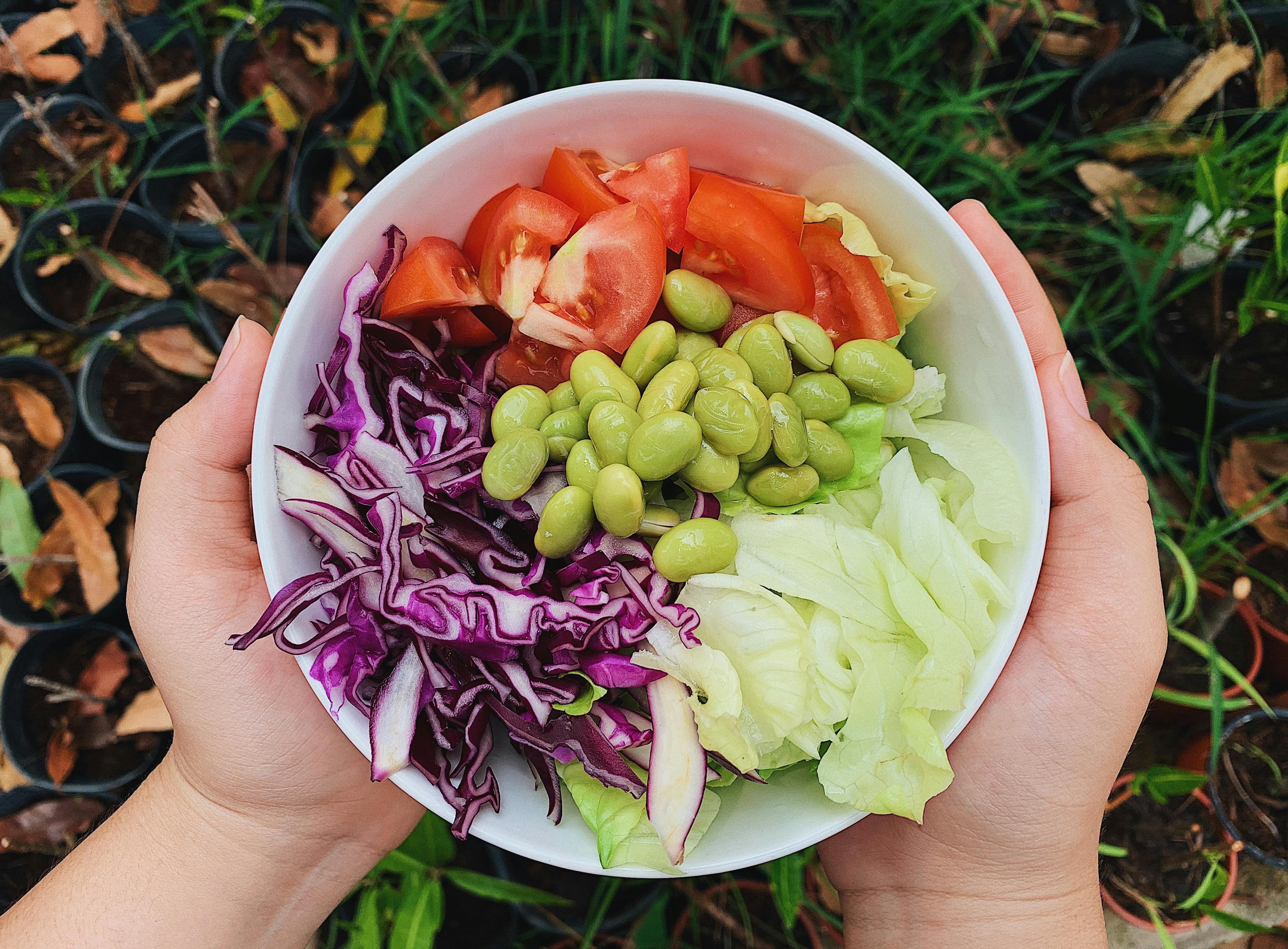Nutritionally balanced plate